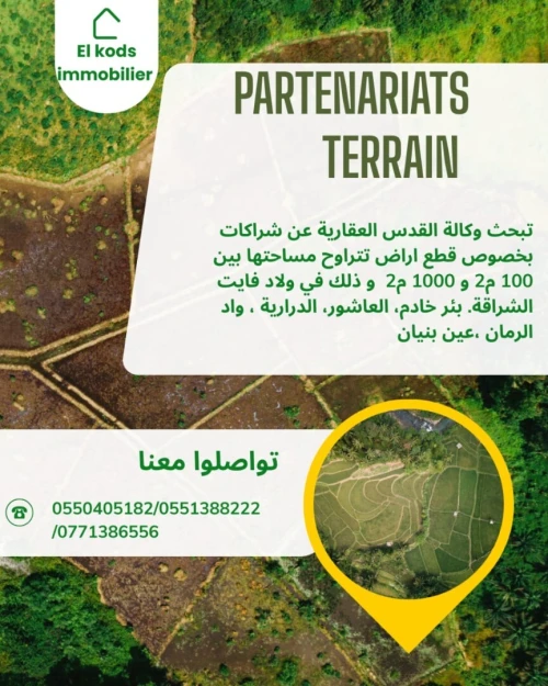 Cherche achat Terrain Alger Ouled fayet
