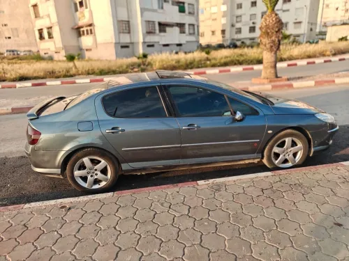 Peugeot 407 2007 407