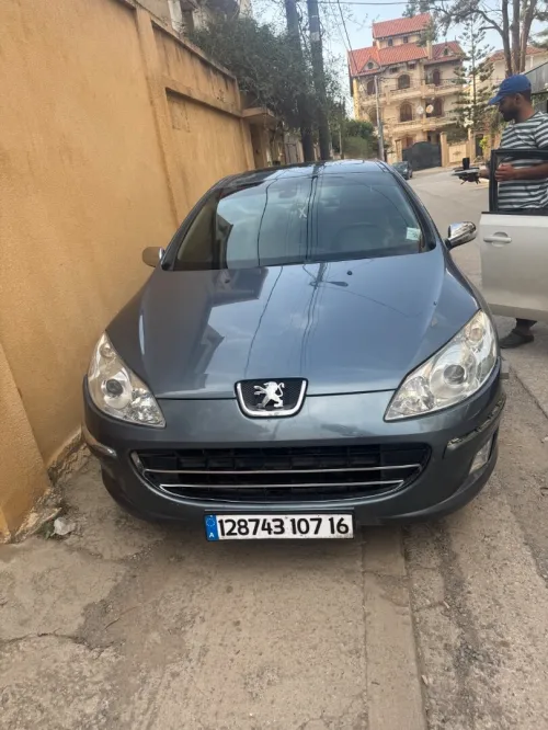 Peugeot 407 2007 407