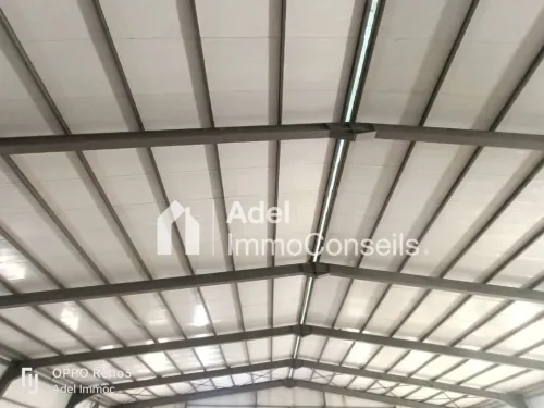 Location Hangar - Usine El Tarf Drean
