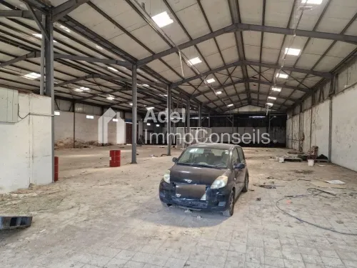 Location Hangar Annaba El bouni