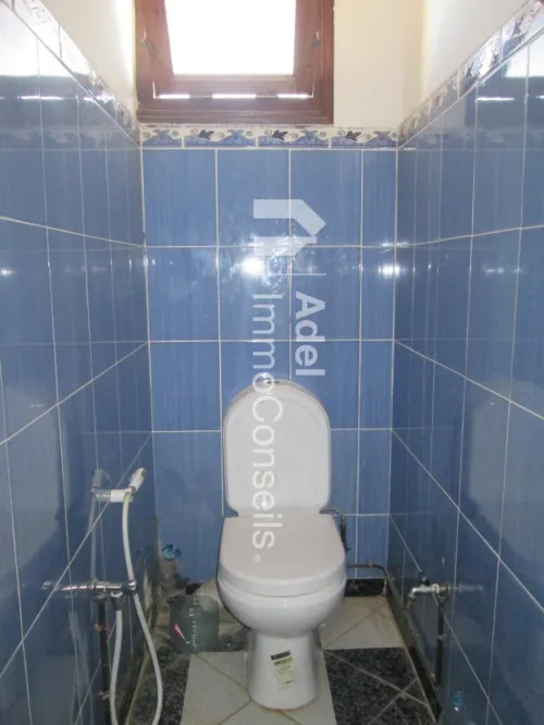 Location Appartement F3 Annaba Annaba