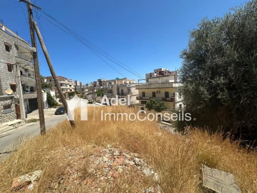 Vente Terrain Annaba Annaba