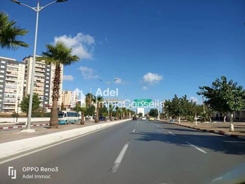 Vente Terrain Annaba Annaba