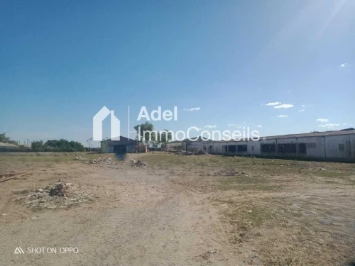 Vente Terrain Annaba Cheurfa