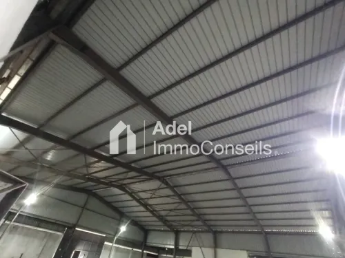 Location Hangar - Usine Annaba El hadjar