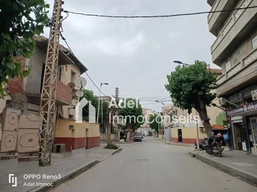 Vente Local Annaba Annaba