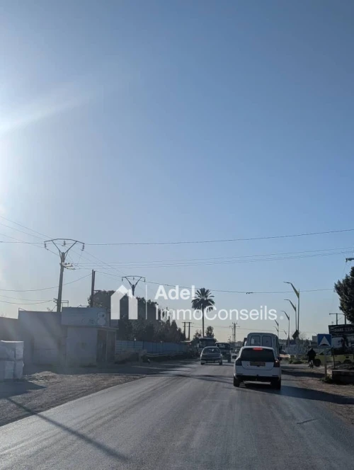 Vente Terrain Agricole Annaba Annaba