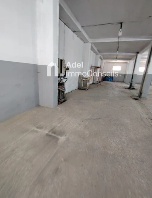 Location Hangar - Usine Annaba Annaba
