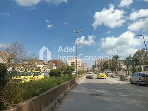 Vente Appartement F3 Annaba Annaba