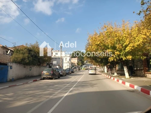 Vente Terrain Annaba Annaba