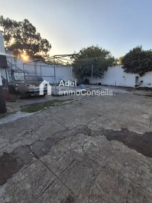 Location Immeuble Annaba Annaba