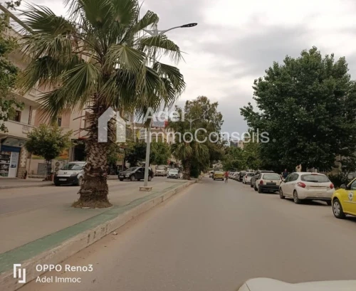 Vente Local Annaba Annaba