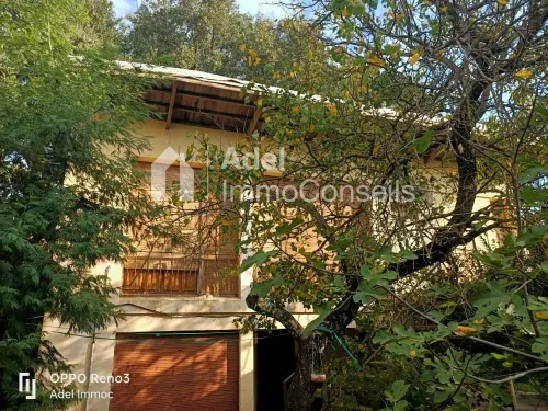 Vente Villa Annaba Seraidi
