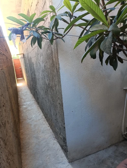 Location Studio Chlef Tenes