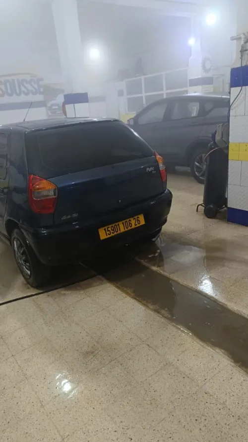 Fiat Palio 2006 Fire