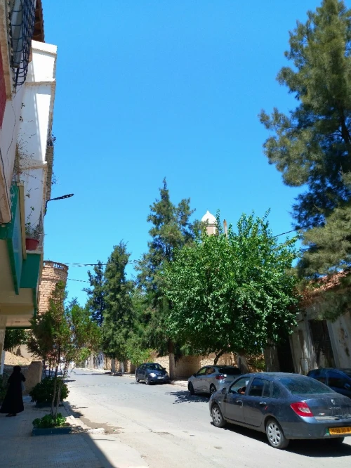 Vente Villa Tiaret Tiaret