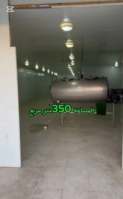 Location Hangar - Usine Batna Ain touta