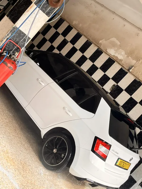 Skoda Fabia 2017 Monte Carlo