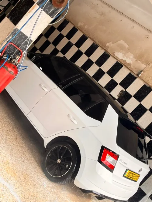 Skoda Fabia 2017 Monte Carlo