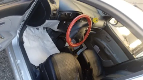 Kia Picanto 2009 Fani