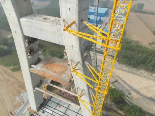 GRUE A TOUR DAHAN (Elements)