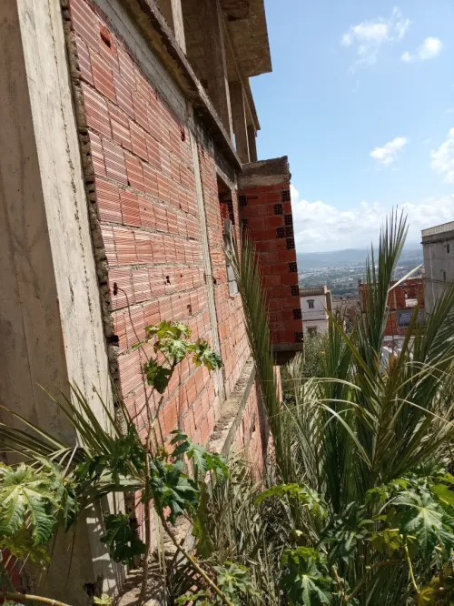 Vente Immeuble Skikda Skikda