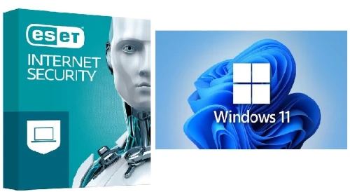 windows 11 / 10 pro - Eset home security 