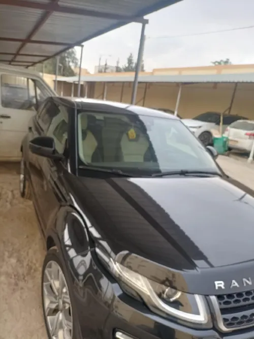 Rover Rover 2018 Rover