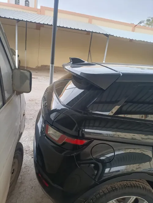 Rover Rover 2018 Rover