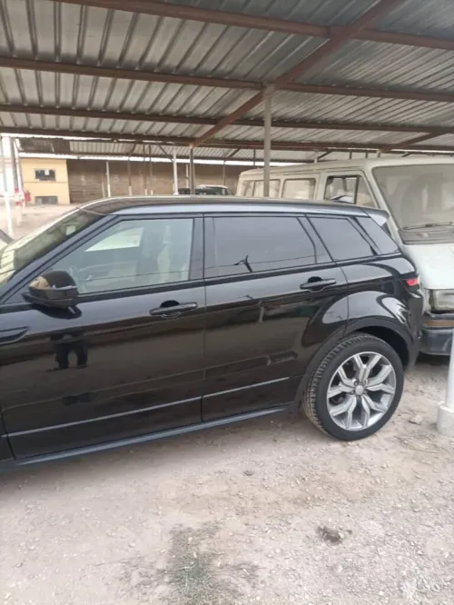 Rover Rover 2018 Rover