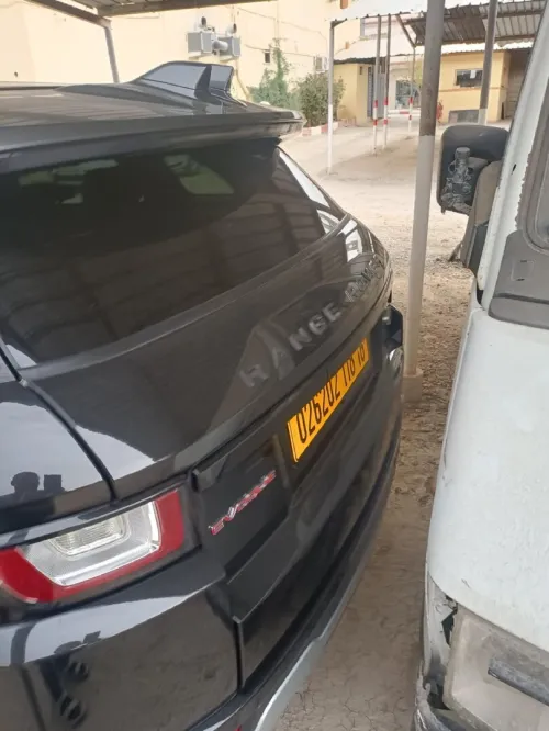 Rover Rover 2018 Rover
