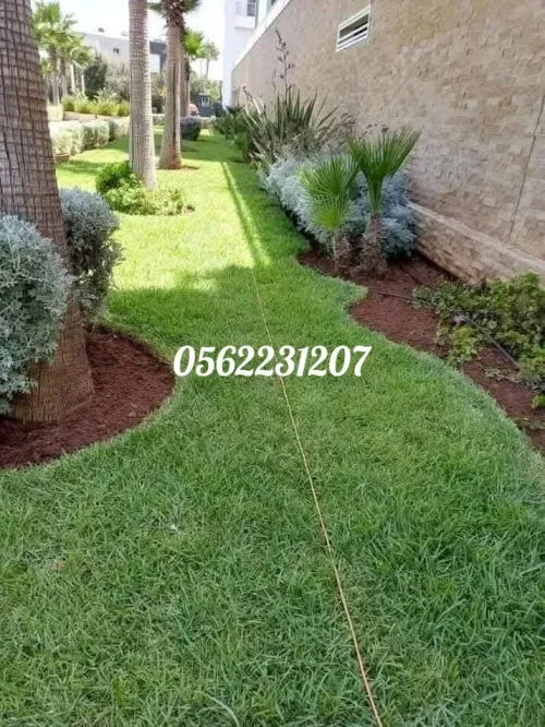 Aménagement extérieur espaces verts gazon