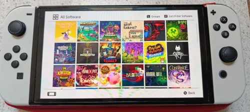 Nintendo Switch Oled Flashi