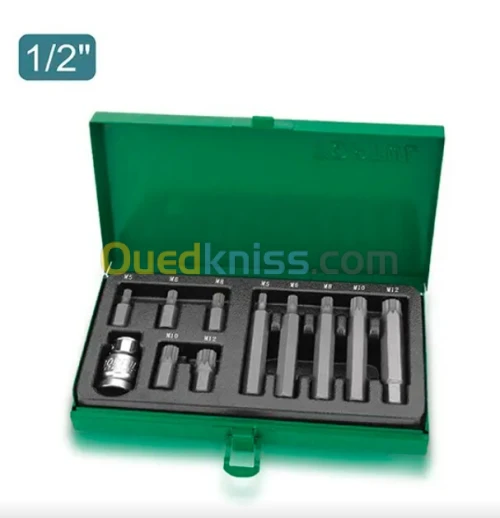 Jeu de 11 embouts cannelés à tige hexagonale DR. 1/2" GAAD1102 TOPTUL