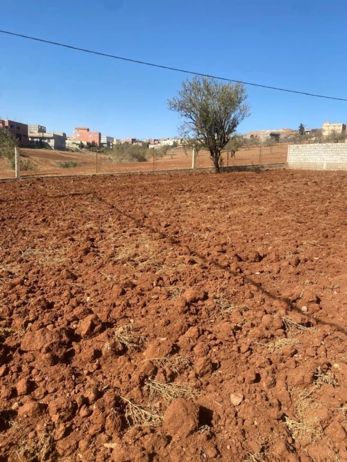 Vente Terrain Tlemcen Ghazaouet