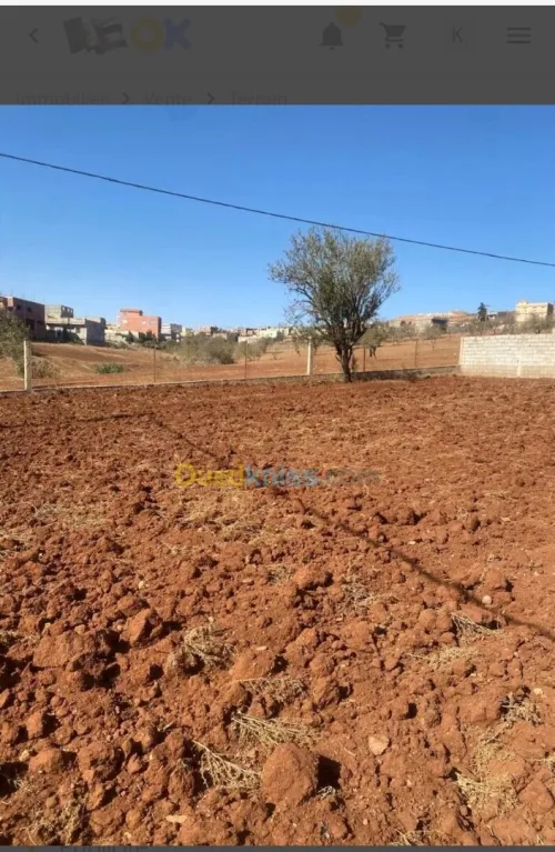 Vente Terrain Tlemcen Ghazaouet