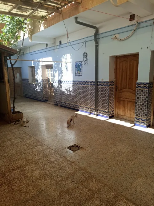 Vente Villa Saïda Saida