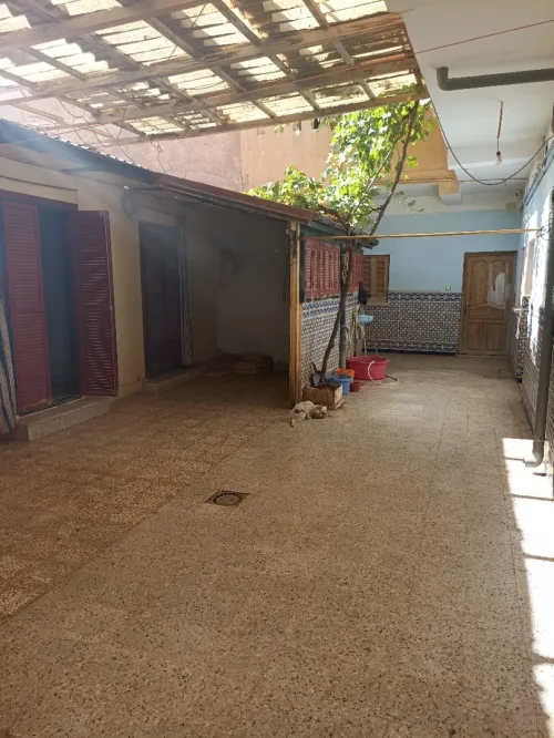 Vente Villa Saïda Saida