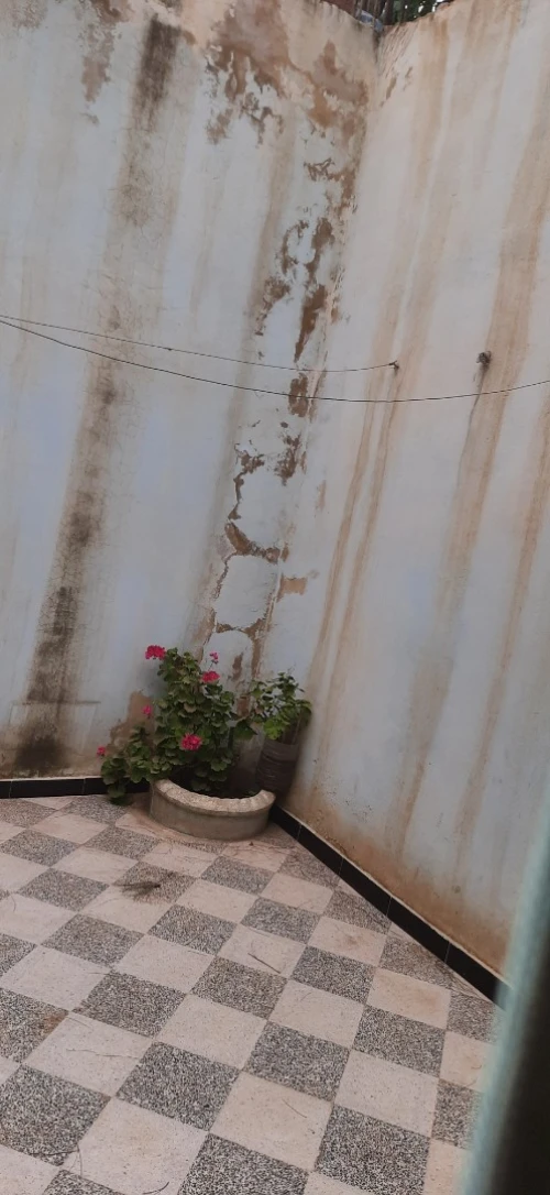 Location vacances Appartement F2 Mostaganem Mezghrane