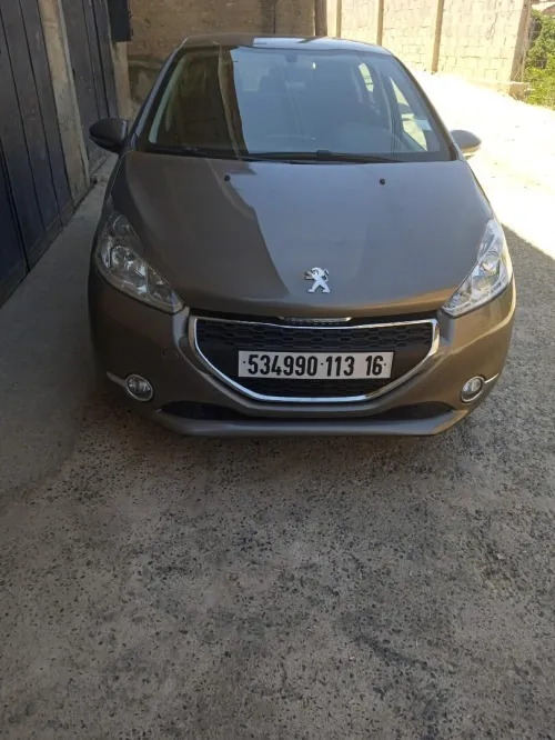 Peugeot 208 2013 Fennec