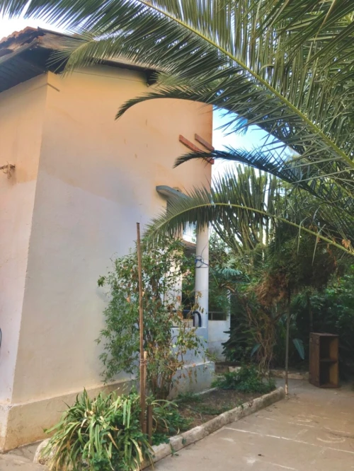 Vente Villa Blida Blida
