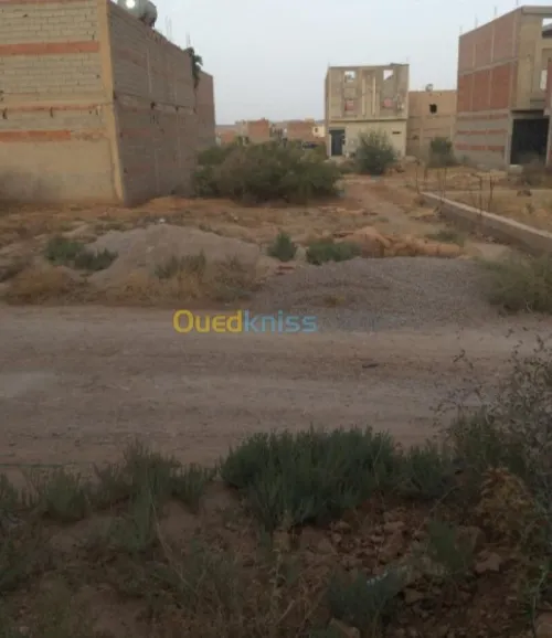 Vente Terrain Tlemcen Maghnia