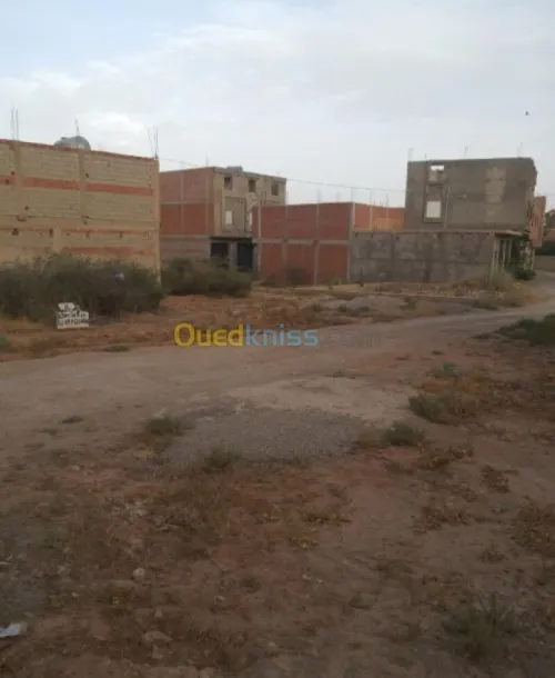 Vente Terrain Tlemcen Maghnia