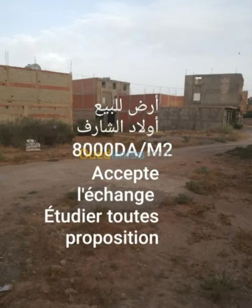 Vente Terrain Tlemcen Maghnia