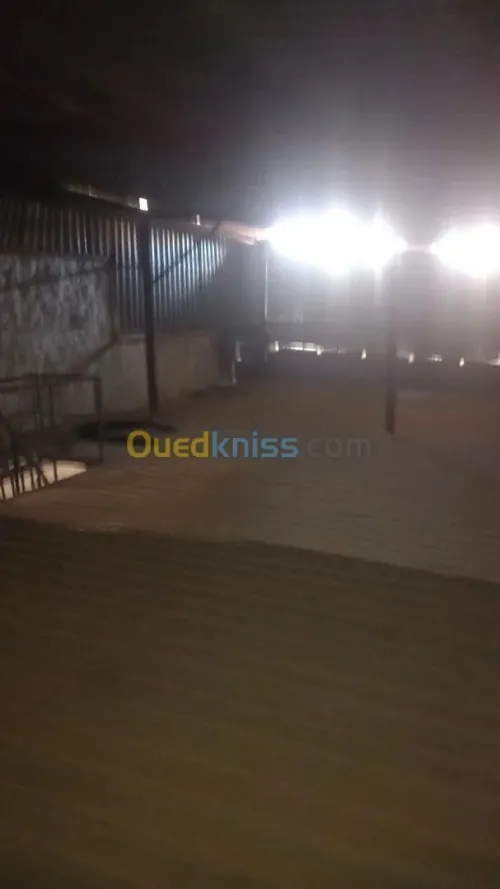 Location Hangar - Usine Oran Oran