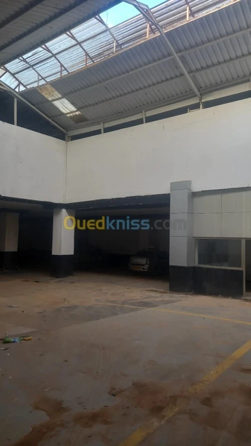 Location Hangar - Usine Oran Oran