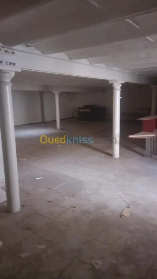 Location Hangar - Usine Oran Oran