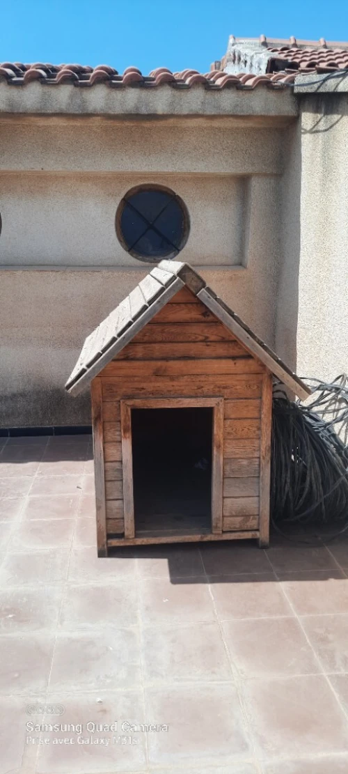 Maison de chien_ niche de chien