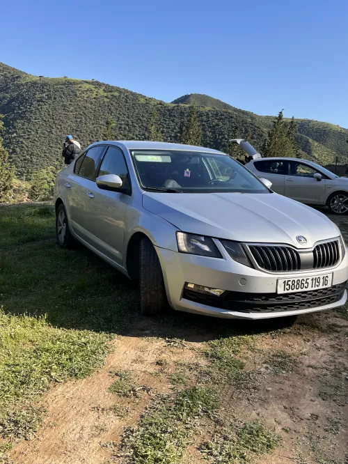 Skoda Octavia 2019 Business